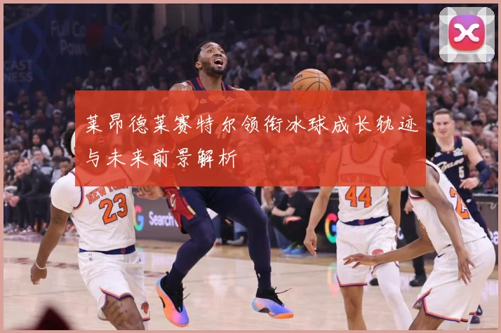 莱昂德莱赛特尔领衔冰球成长轨迹与未来前景解析