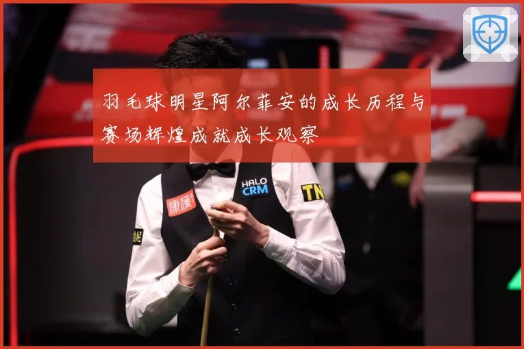 羽毛球明星阿尔菲安的成长历程与赛场辉煌成就成长观察